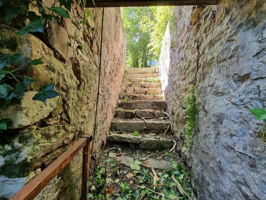 Elegance Provinoise Aux Pieds Des Remparts Classe Провен Екстериор снимка